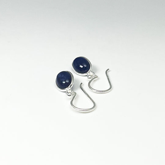 Sodalite Dangle Earrings