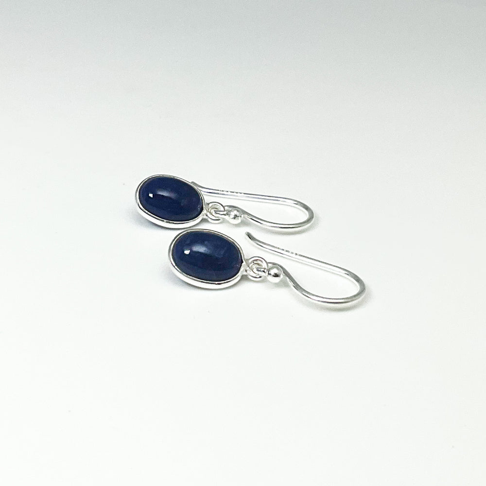 Sodalite Dangle Earrings