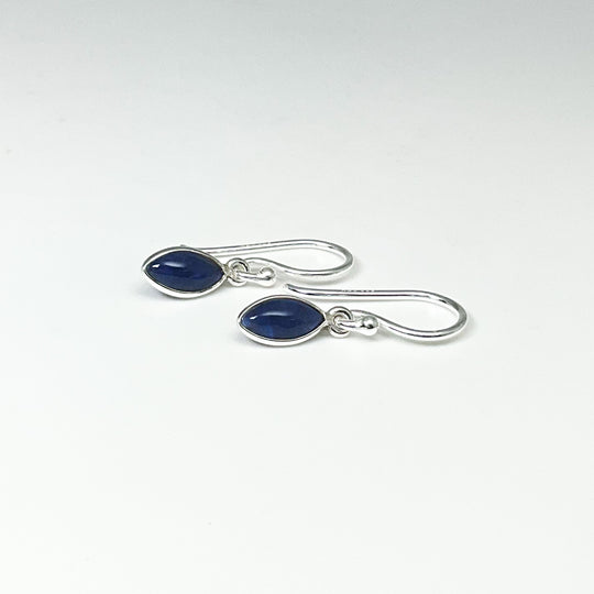 Sodalite Dangle Earrings