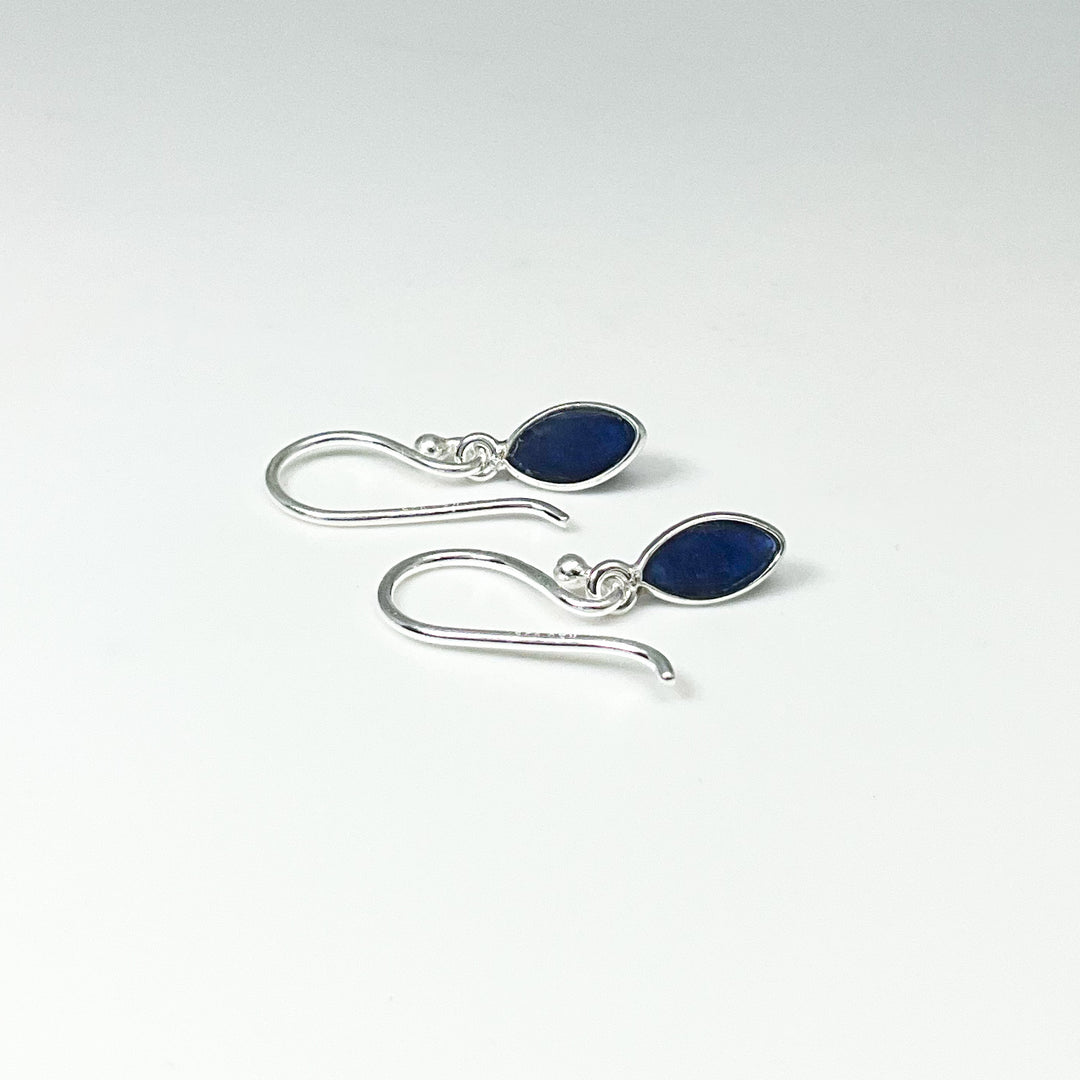 Sodalite Dangle Earrings