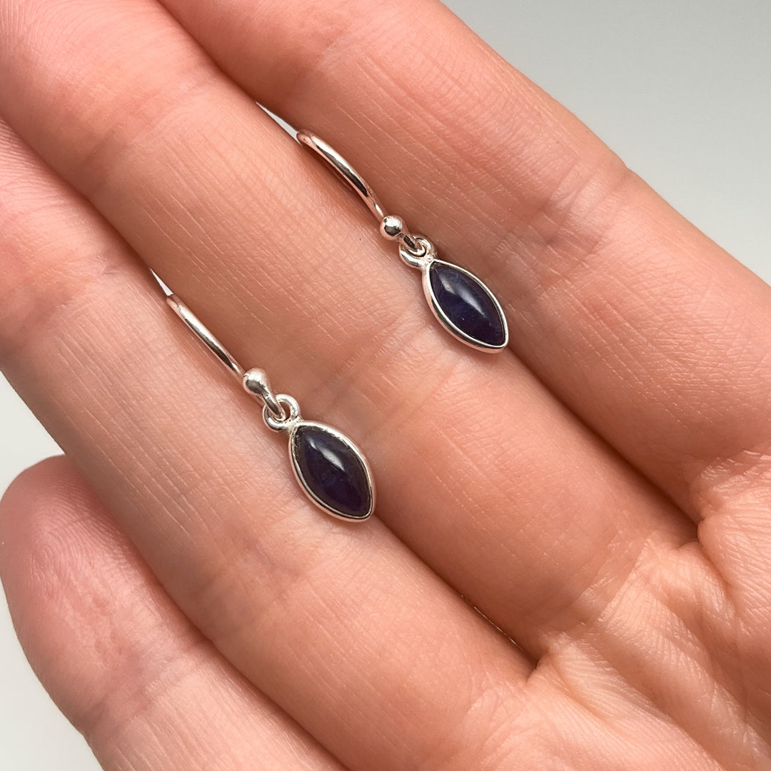 Sodalite Dangle Earrings