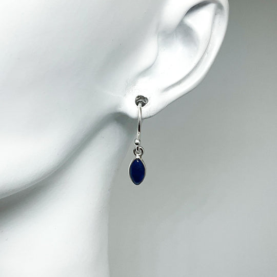 Sodalite Dangle Earrings