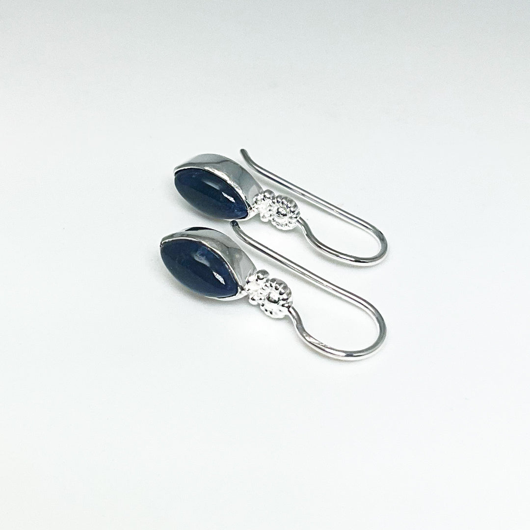 Sodalite Dangle Earrings