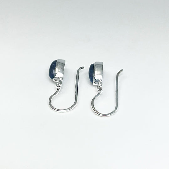 Sodalite Dangle Earrings