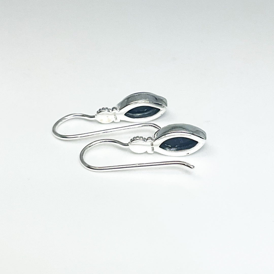 Sodalite Dangle Earrings