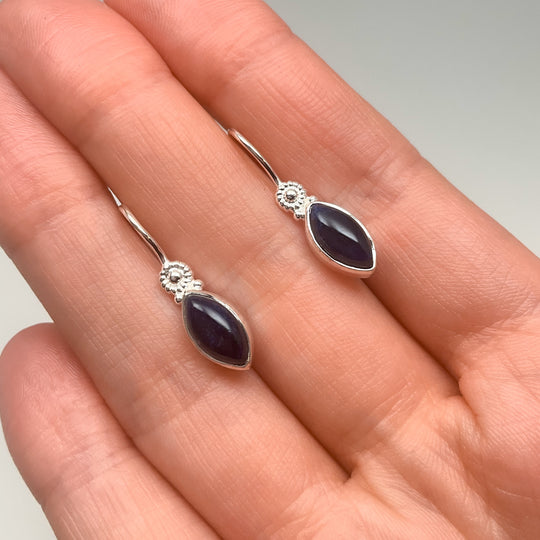 Sodalite Dangle Earrings
