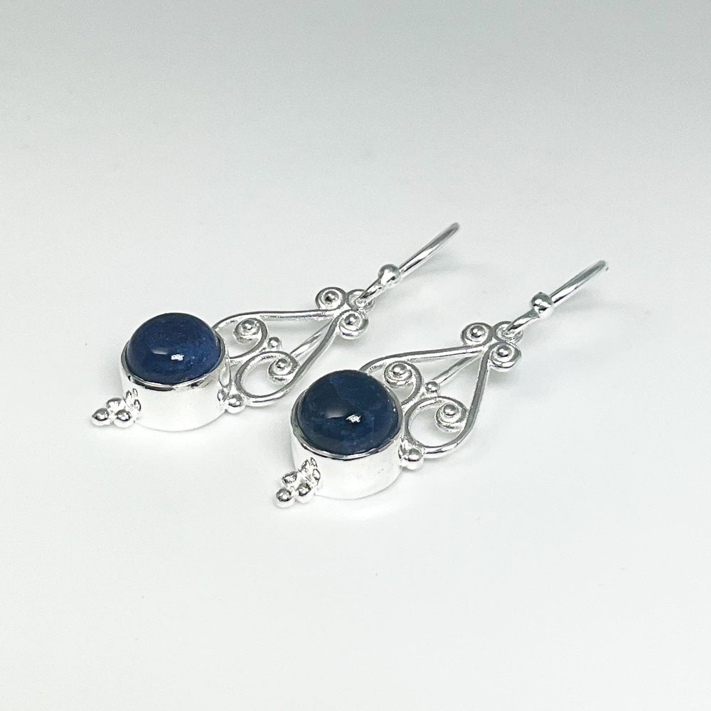 Sodalite Dangle Earrings