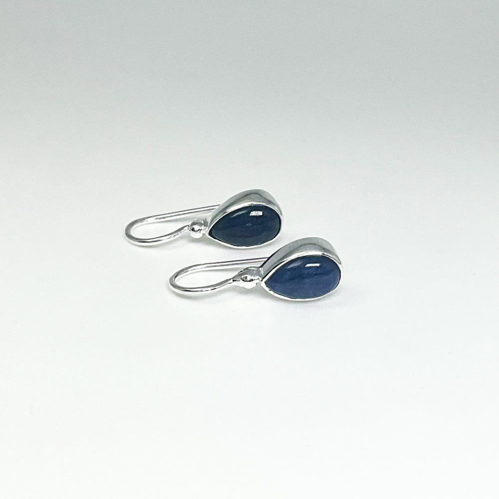 Sodalite Dangle Earrings