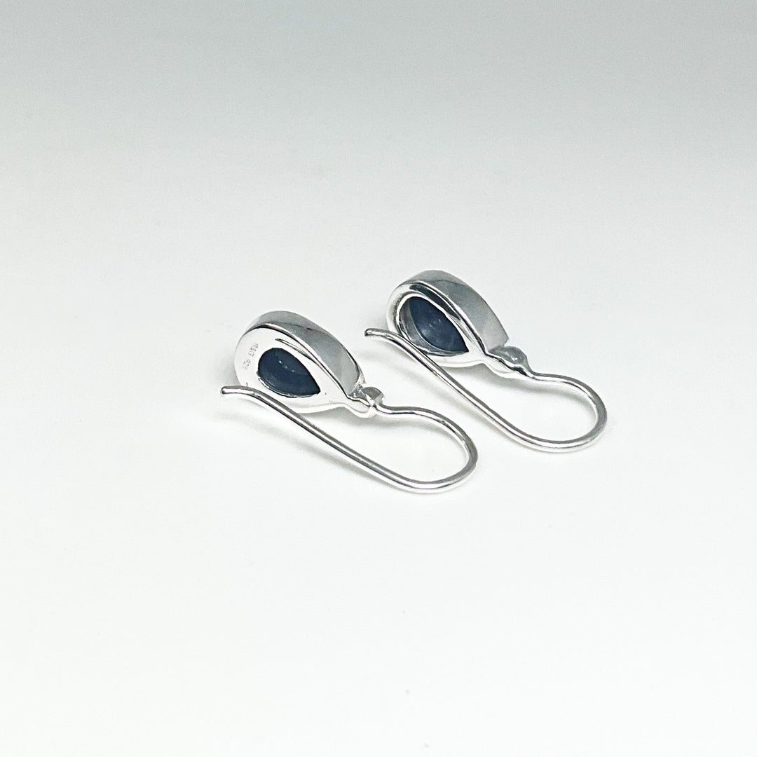 Sodalite Dangle Earrings