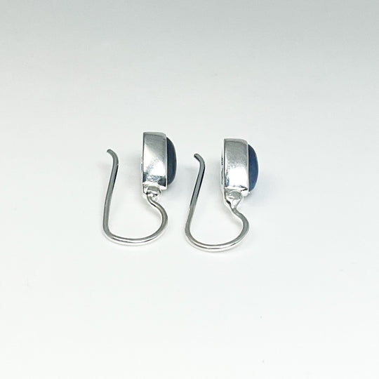 Sodalite Dangle Earrings
