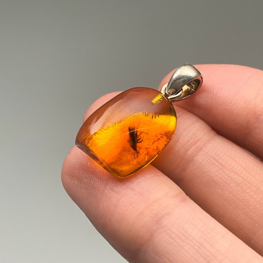 Amber Pendant With Insect (Copy) - Rocks and Gems Canada