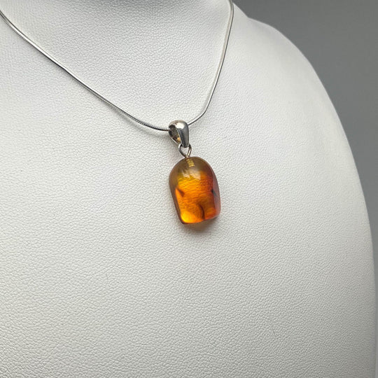 Amber Pendant With Insect (Copy) - Rocks and Gems Canada