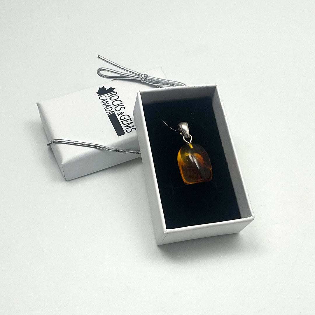 Amber Pendant With Insect (Copy) - Rocks and Gems Canada