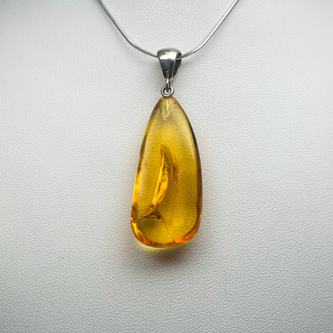 Amber Pendant With Insect