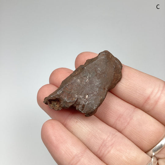 Gebel Kamil Meteorite - Rocks and Gems Canada