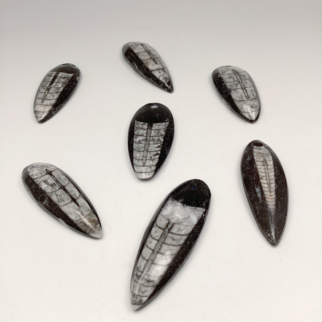 Orthoceras Necklace - Rocks and Gems Canada