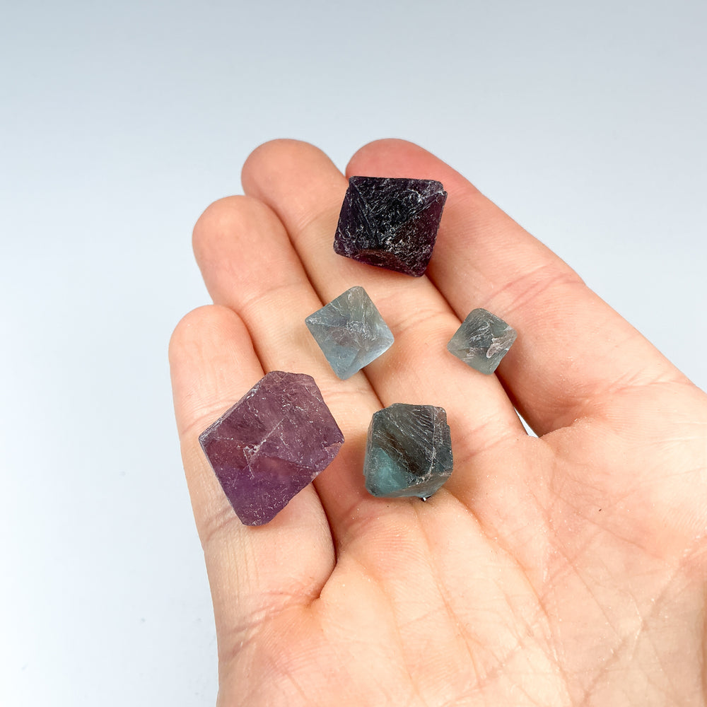Raw Fluorite Kit - Rocks and Gems Canada