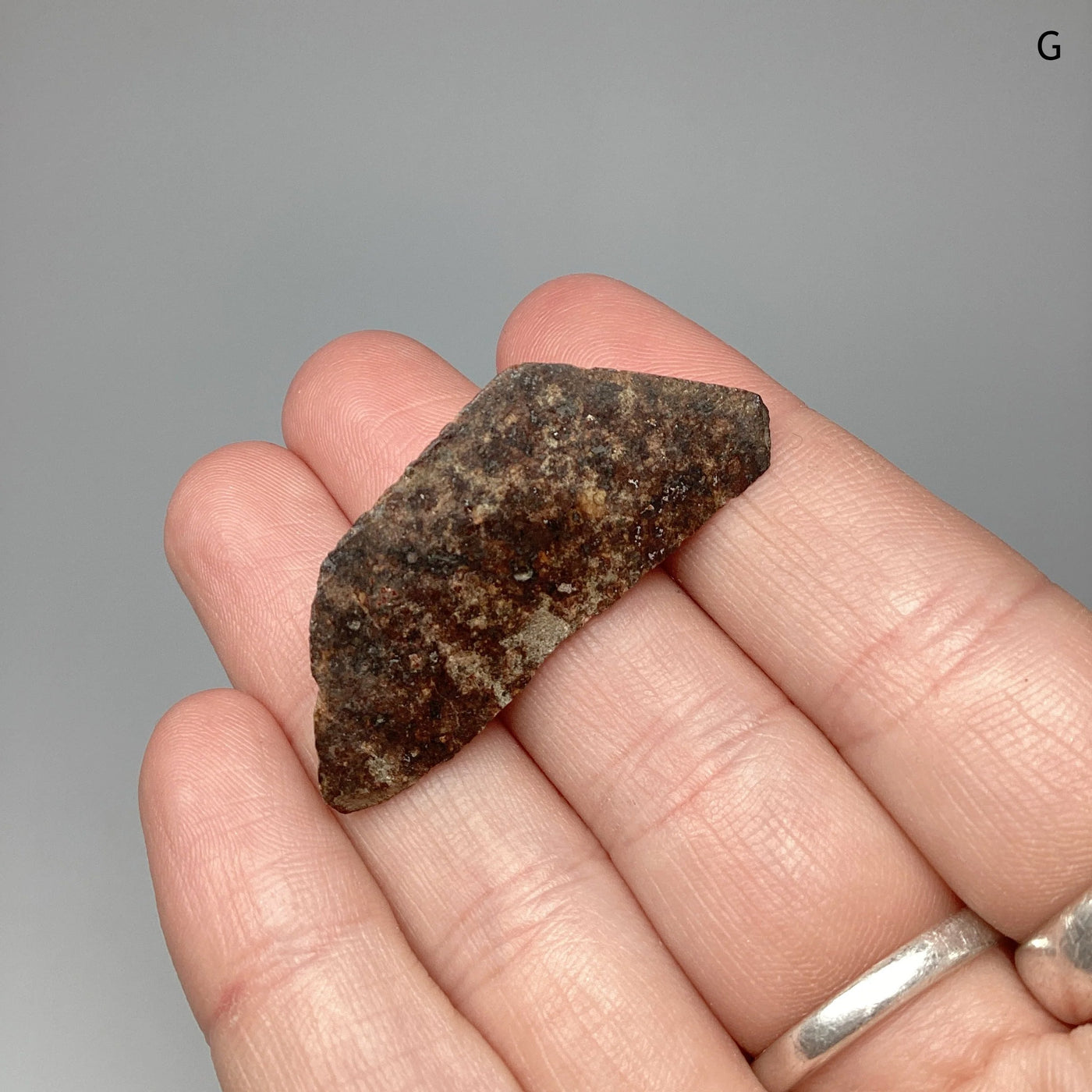 Chondrite Meteorite Specimen