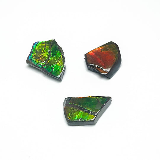 Ammolite Specimen