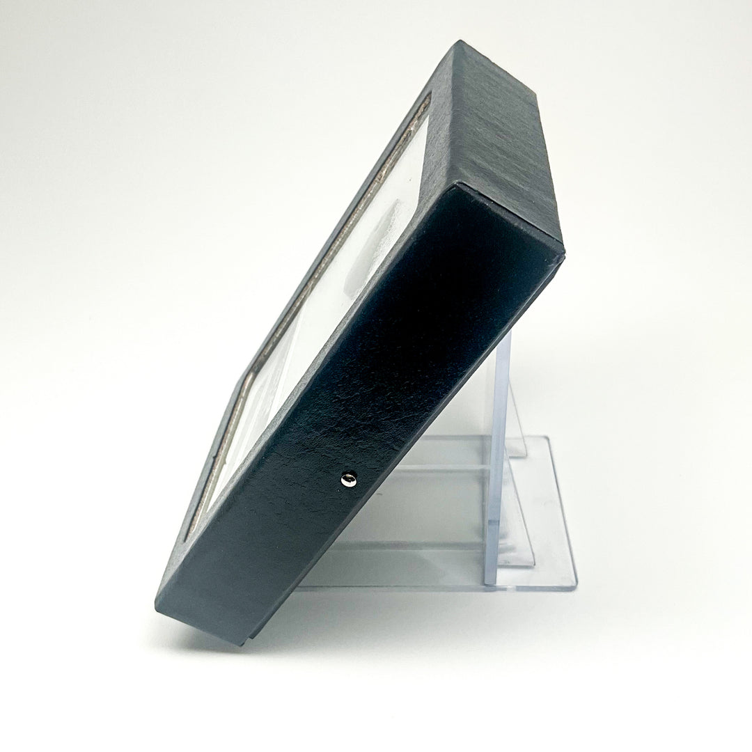 Ammolite Gem with Display Box