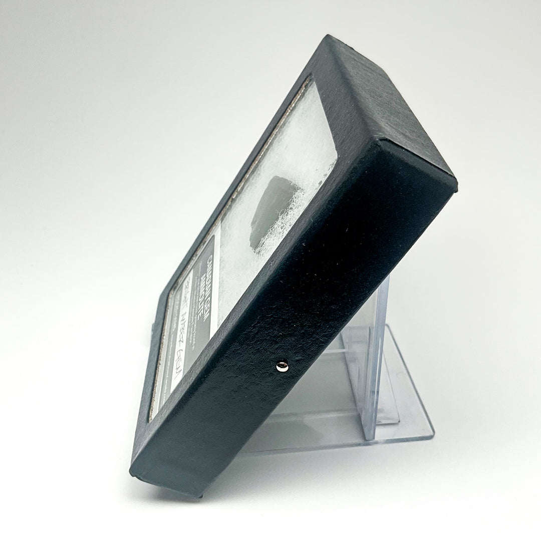 Ammolite Gem with Display Box