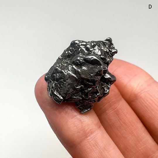 Campo Del Cielo Meteorite