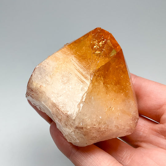 Christmas Crystal Bundle – Nature’s Abundance Collection