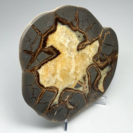 Septarian Slab