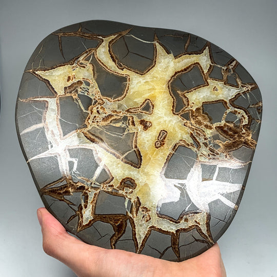Septarian Slab