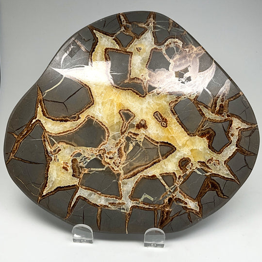 Septarian Slab