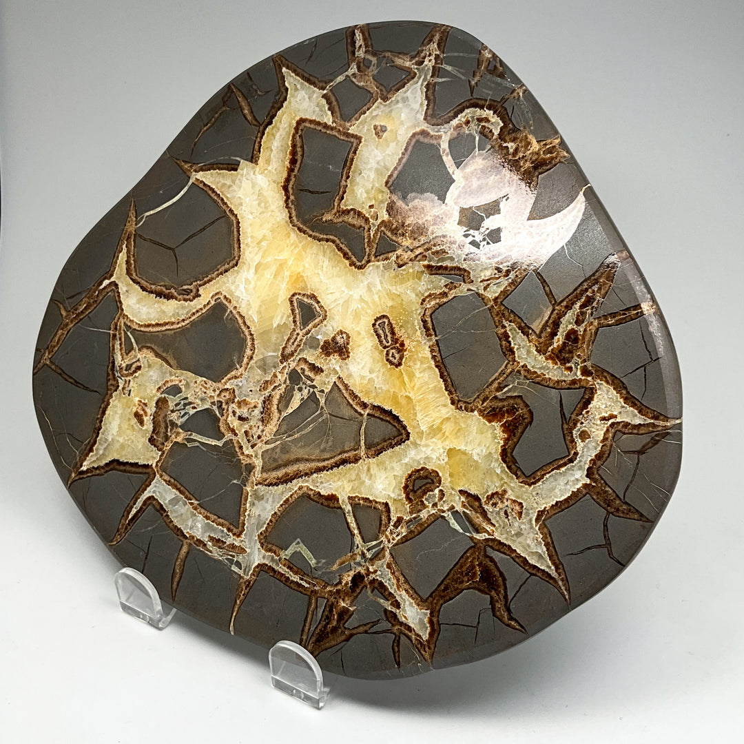 Septarian Slab