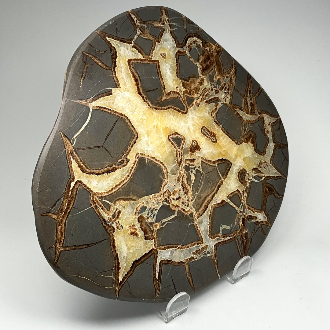 Septarian Slab