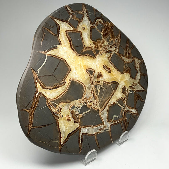 Septarian Slab