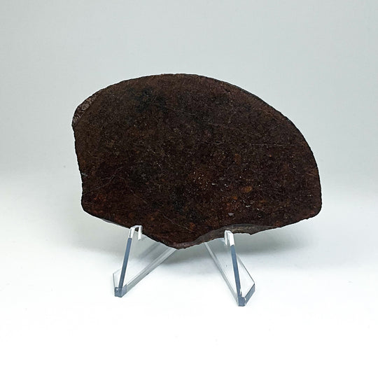 NWA Chondrite Meteorite Slab