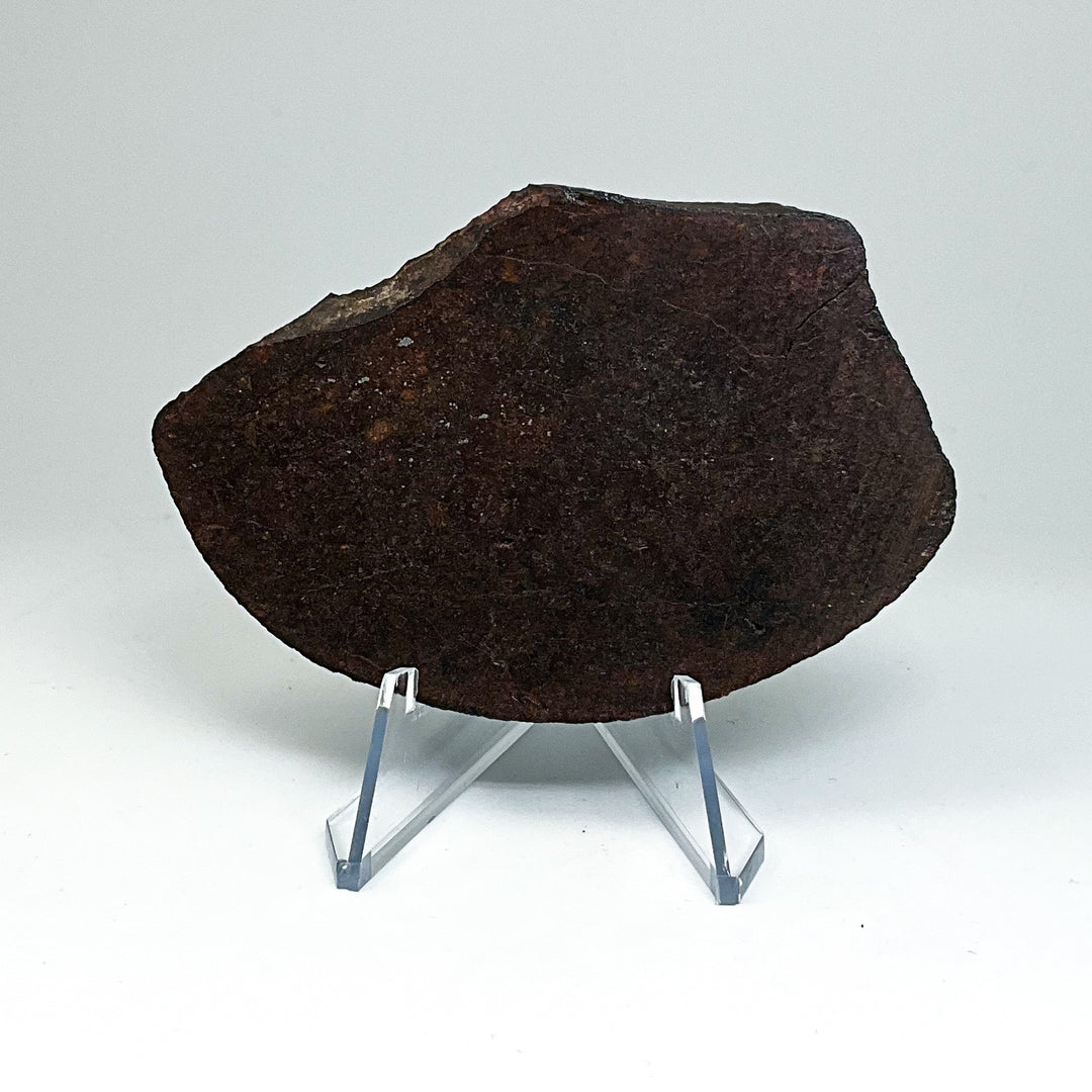 NWA Chondrite Meteorite Slab