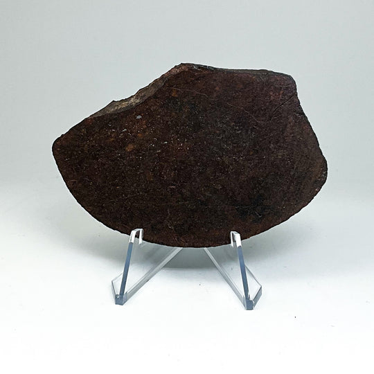 NWA Chondrite Meteorite Slab