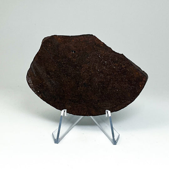 NWA Chondrite Meteorite Slab
