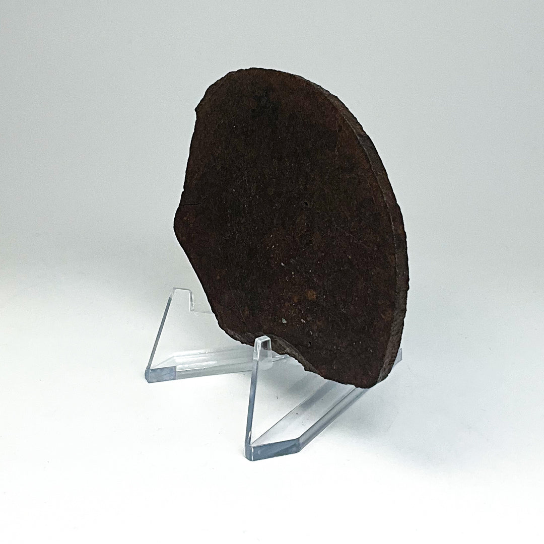 NWA Chondrite Meteorite Slab