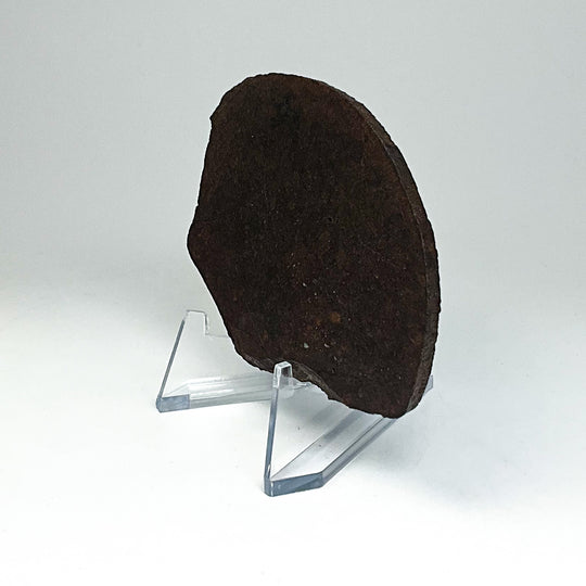 NWA Chondrite Meteorite Slab