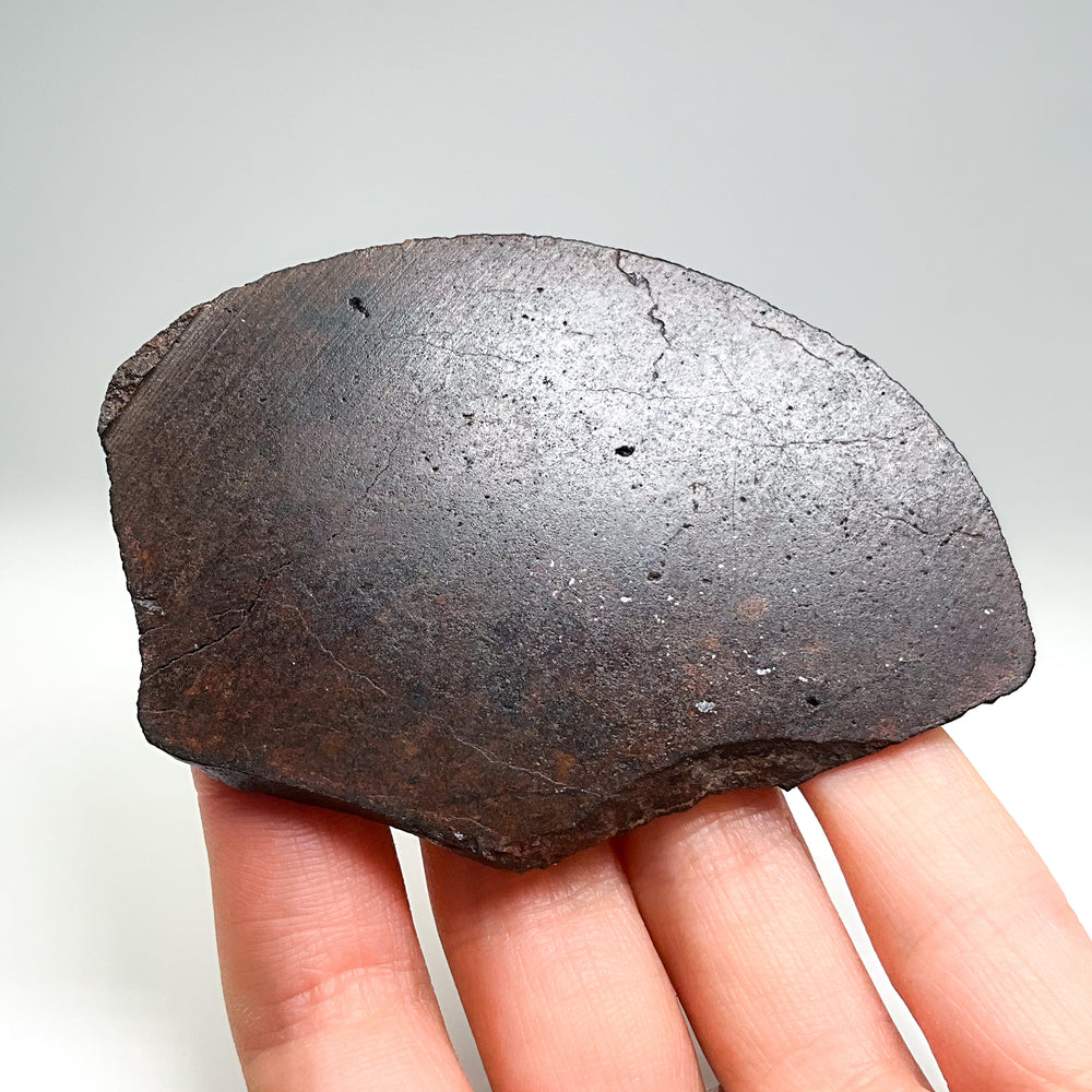 NWA Chondrite Meteorite Slab