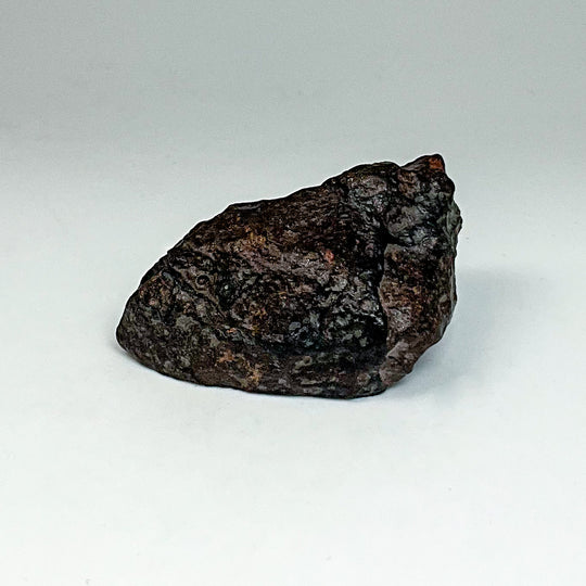 NWA Chondrite Meteorite Specimen
