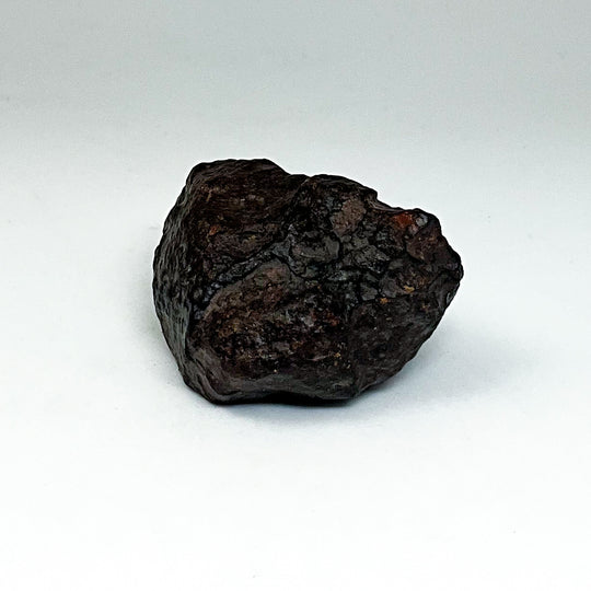 NWA Chondrite Meteorite Specimen