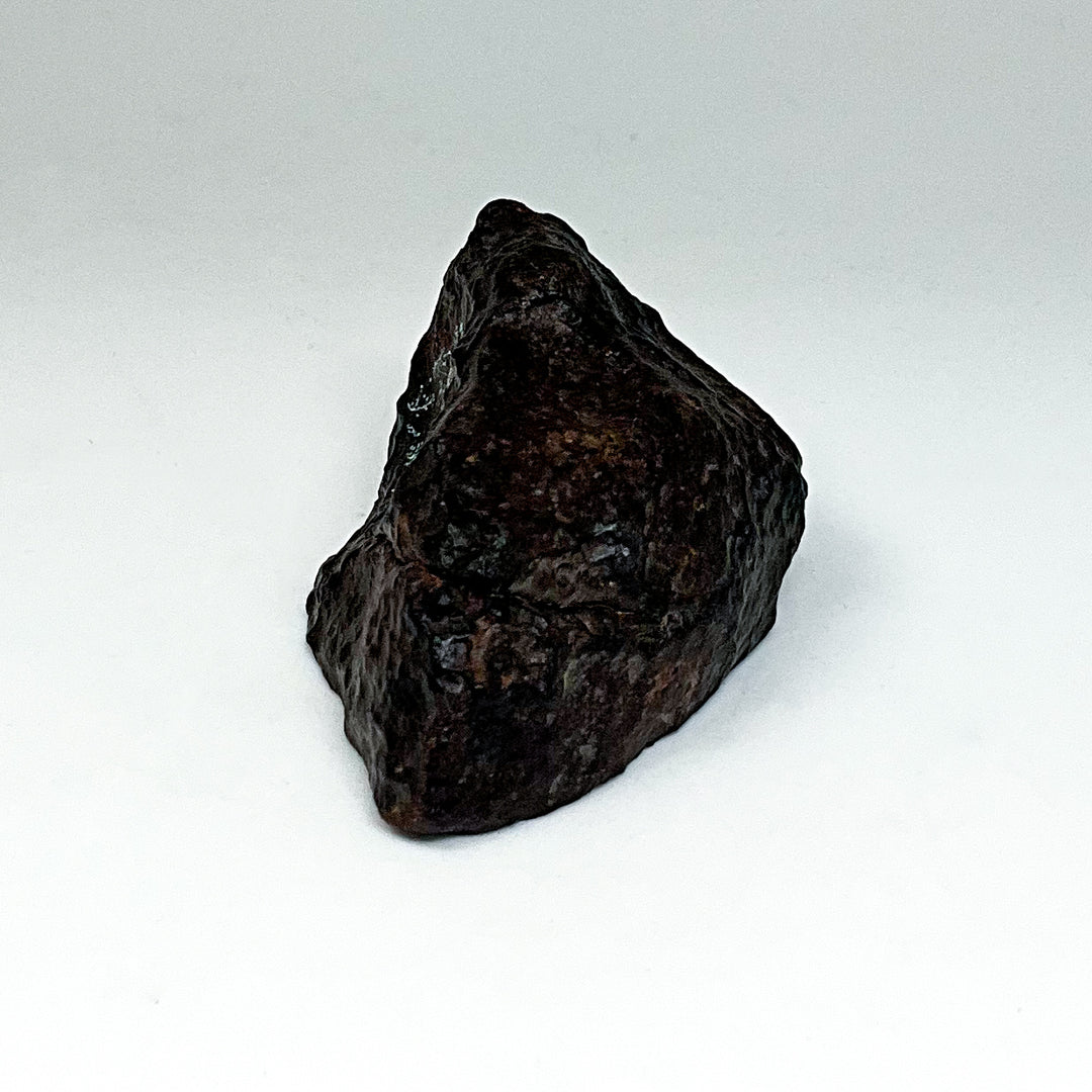 NWA Chondrite Meteorite Specimen