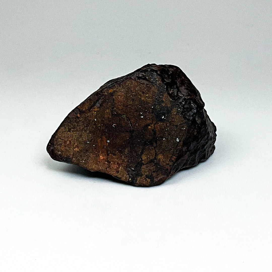 NWA Chondrite Meteorite Specimen