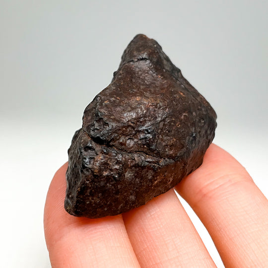NWA Chondrite Meteorite Specimen