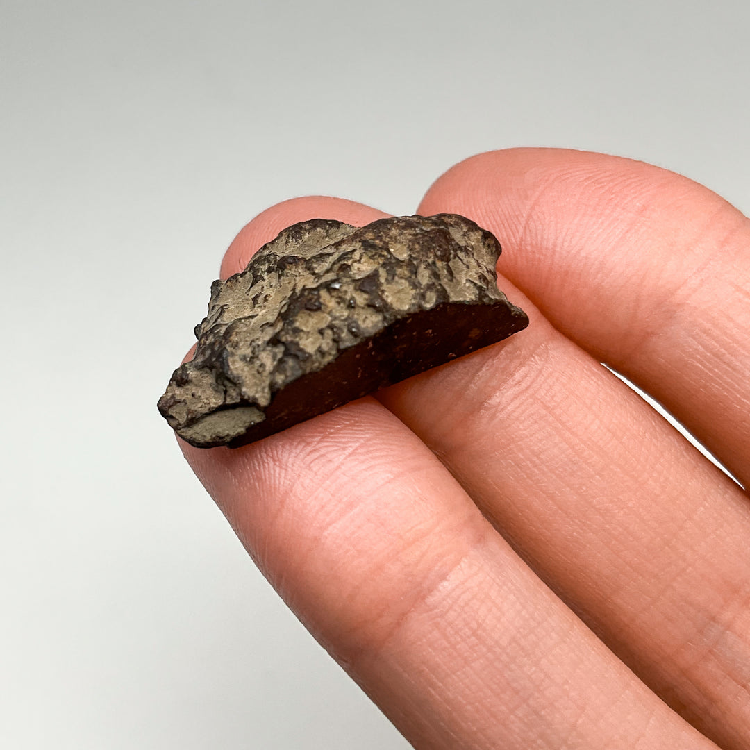 Meteorite Gift Bundle