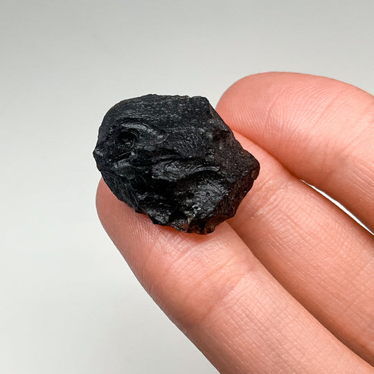 Meteorite Gift Bundle