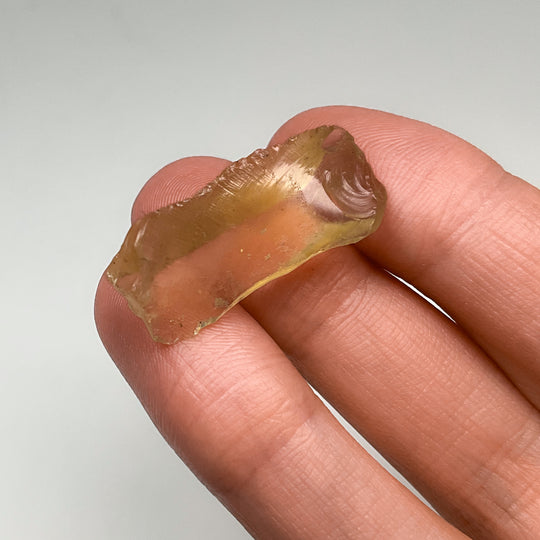 Meteorite Gift Bundle