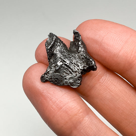 Meteorite Gift Bundle