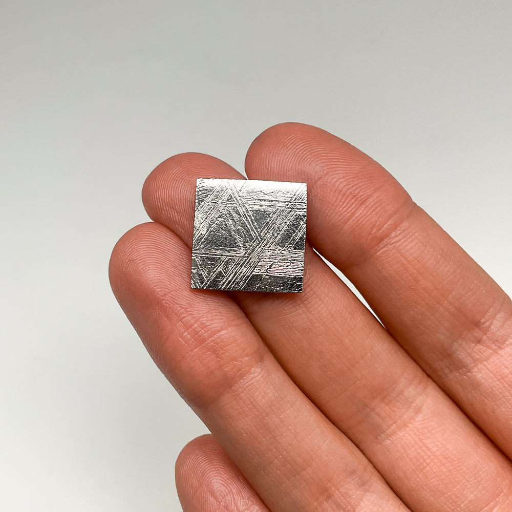 Muonionalusta Meteorite Slice